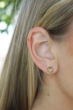 Load image into Gallery viewer, 14K Yellow Gold Cougar Studs
