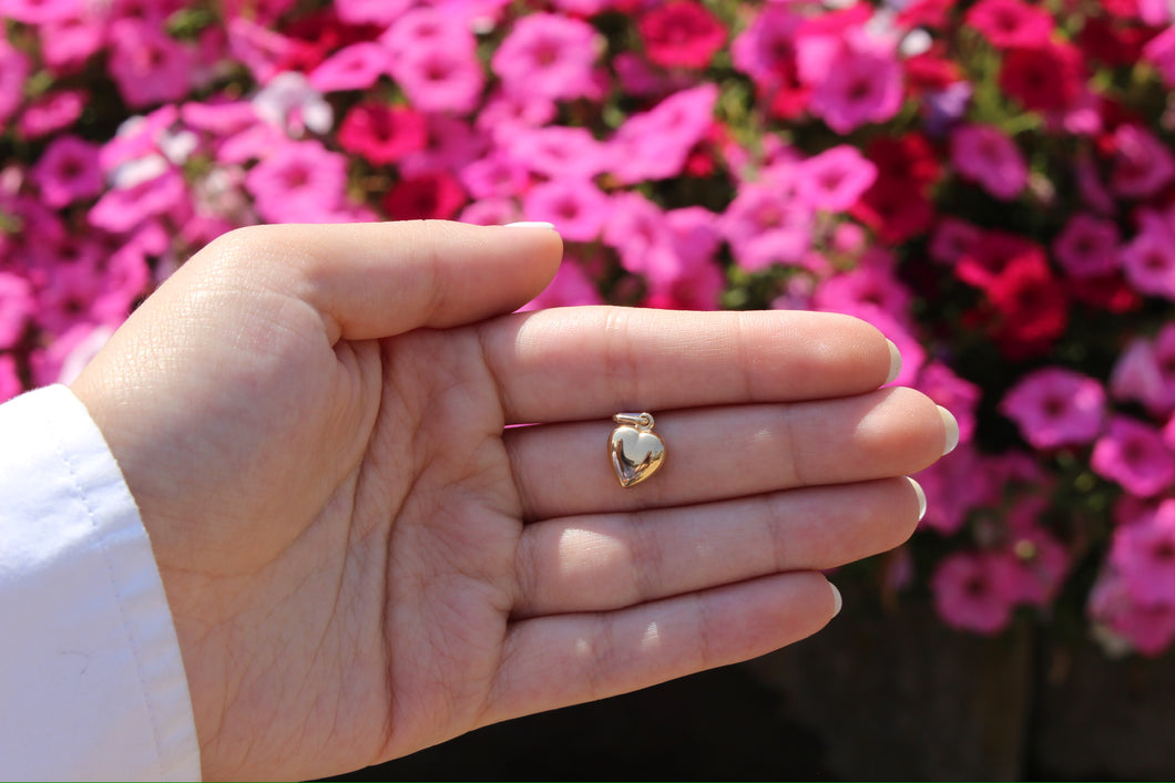 14K Yellow Gold Bubble Heart Charm